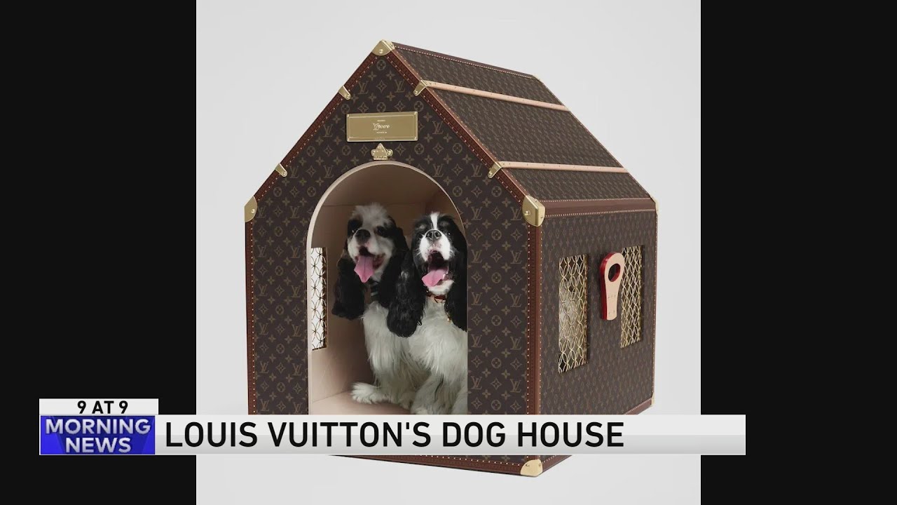 Louis Vuitton's new $60k dog house - YouTube