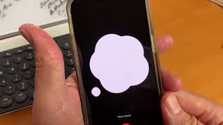What the Tech? App of the Year