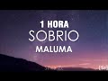 [1 HORA] Maluma - Sobrio (Letra)