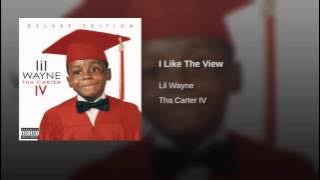 Lil Wayne - I Like The View