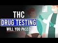 THC Drug Testing: Will you PASS or FAIL?