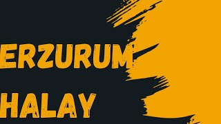 Erzurum 6 - 8 Halay - Mesut Torun 2025