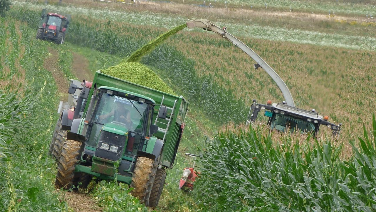 Vlazhnyy kukuruznyy silos na kholme [ Claas Jaguar 860, JCB, Tatra i 3x Case IH ] 2018 g.