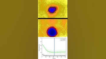 VisiSens - Visualizing Biocide Action on Lichen