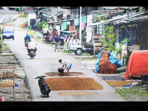 Naseb Petani Kawe - Jeme Kite