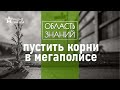 Как формировалась и менялась флора Москвы. Лекция биолога Алексея Серёгина