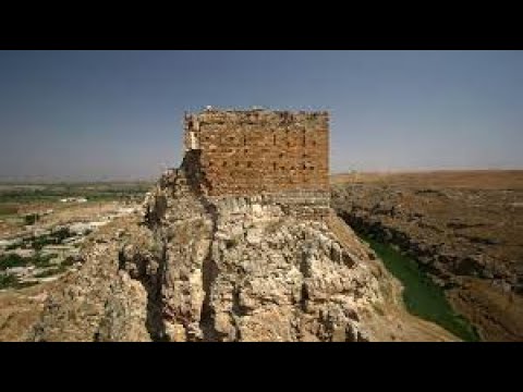 الظاهر بيبرس