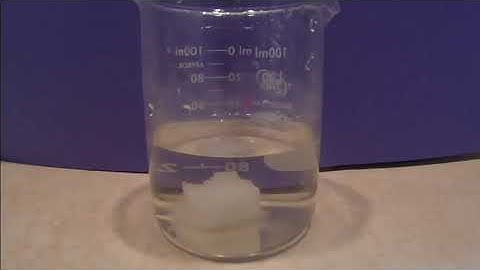 A Visual Demonstration of Dynamic Equilibrium