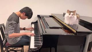 Mozart : トルコ行進曲(2) Piano Sonata in A-Major K.331, Ⅲ Turkish March / モーツァルト : ピアノ・ソナタ 第11番 イ長調 第3楽章