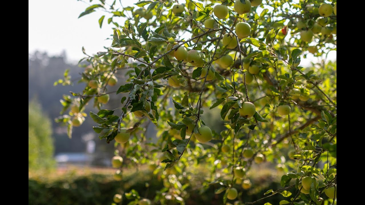 5940 Colton Blvd Oakland