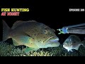 Night spearfishing episode 109  fish hunting at night
