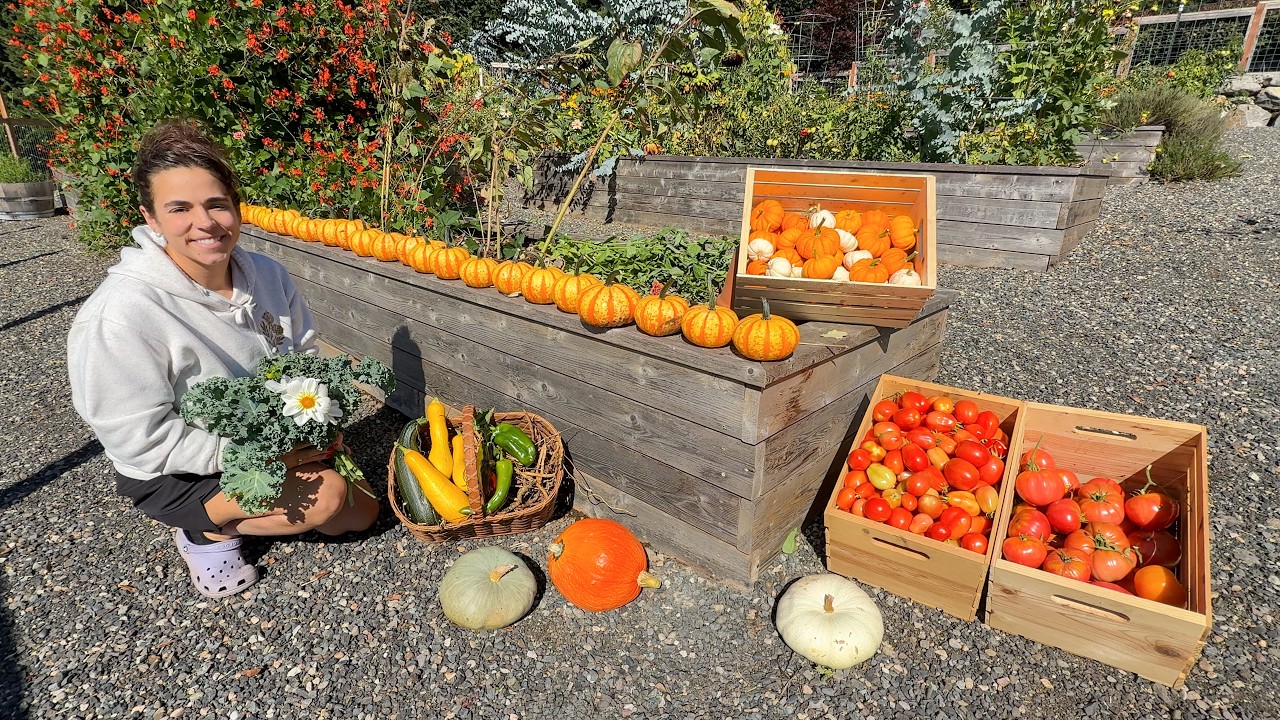 My Favorite Harvest of the Year!