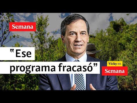 "Erradicación voluntaria de cultivos ilícitos en Colombia fracasó": Rafael Nieto | Vicky en Semana