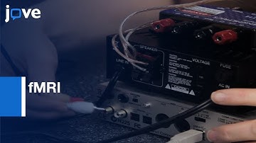 Functional Imaging of Auditory Cortex using High field fMRI | Protocol Preview