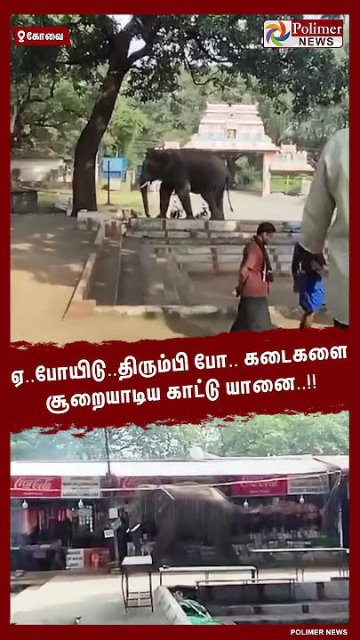 ஏ…போயிடு.. திரும்பி போ.. கடைகளை சூறையாடிய காட்டு யானை..!!  #shorts