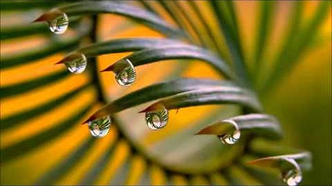 الشيخ أبوبكر الشاطري   سورة الإنسان اللهم تقبل