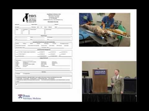 Veterinary Sop Examples Pdf