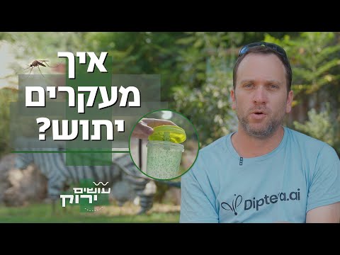 וִידֵאוֹ: איך היתושים מתרבים?