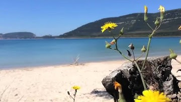 سورة الفاتحة - القارئ هاني عبدالرحيم الرفاعي