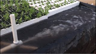 Stop using airstones for hydroponics! Build this simple $5 venturi in 2 minutes instead!