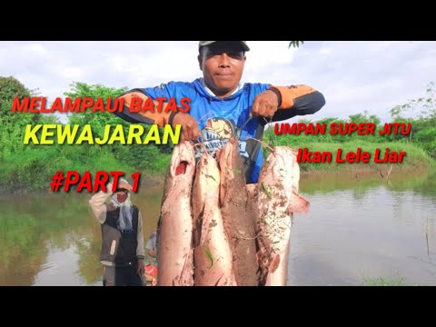 MELAMPAUI BATAS KEWAJARAN
