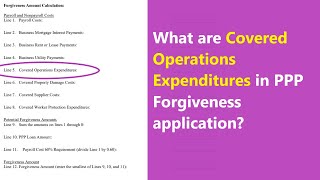 PPP Forgiveness Covered Operations Expenditures in application - what to put in SBA form?