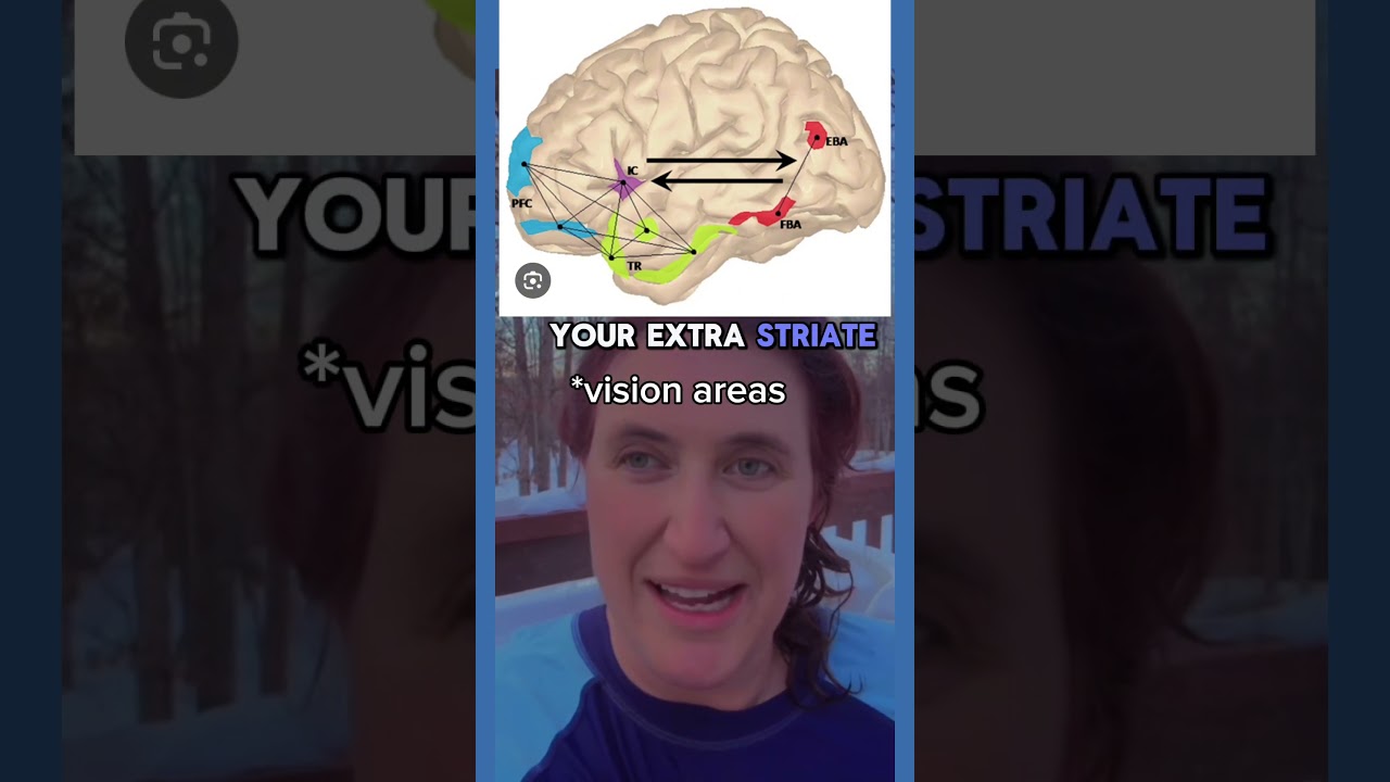 У всех бывают одинаковые галлюцинации! 