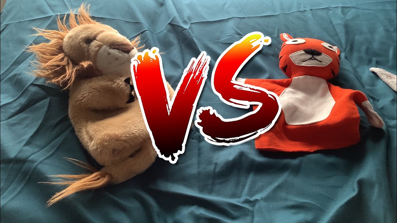timmy-vs-billy-youtube