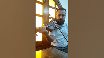 الدنيا ريشه في هوا 