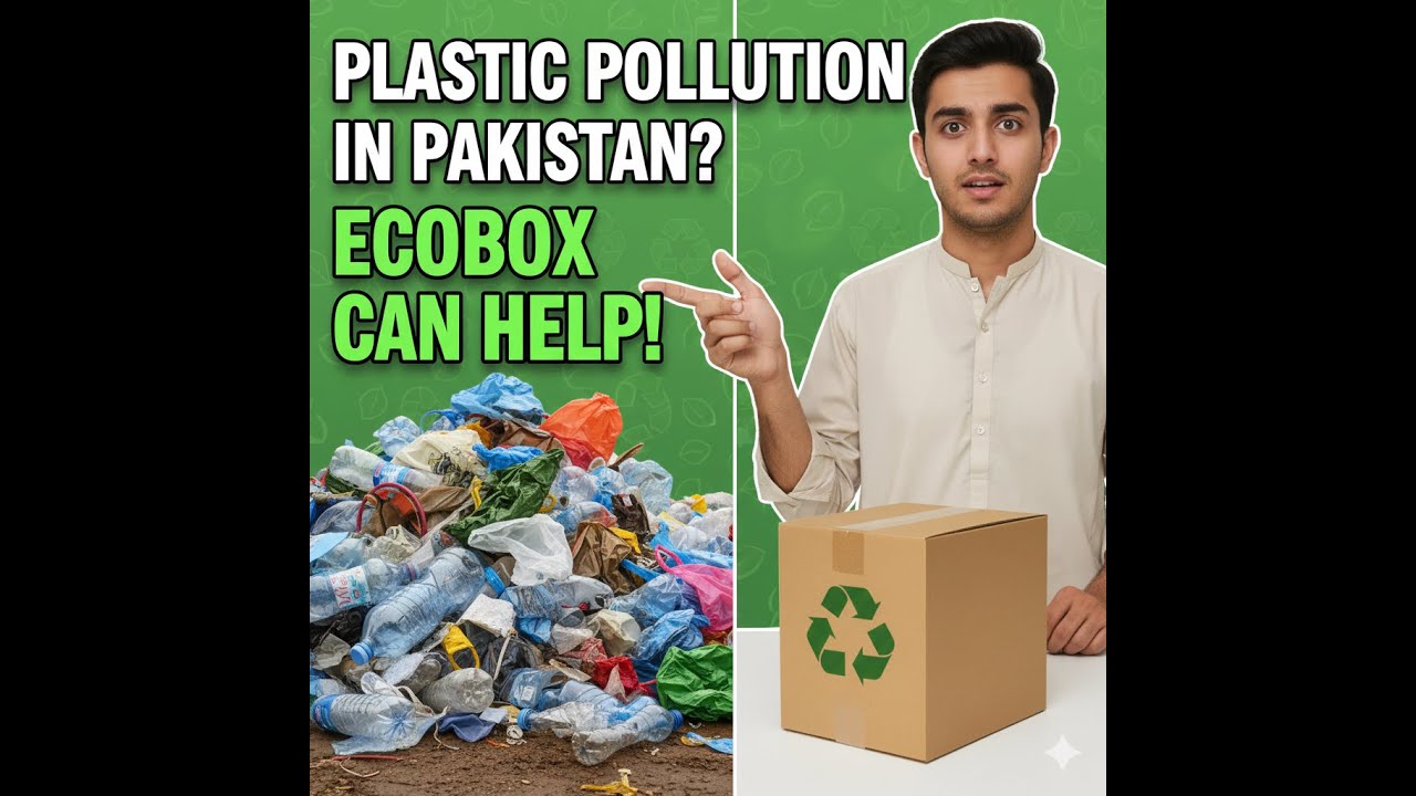 How EcoBox Can Help Reduce Plastic Pollution | Eco Packaging