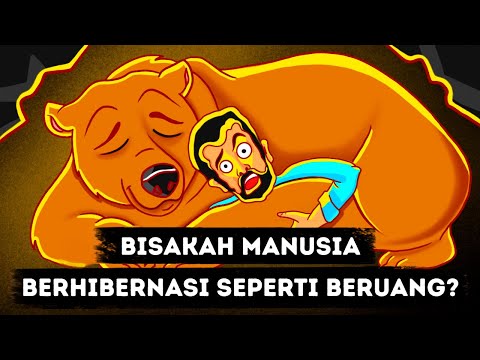 Video: Beruang Hibernasi Dapat Membantu Penyelamatan Manusia