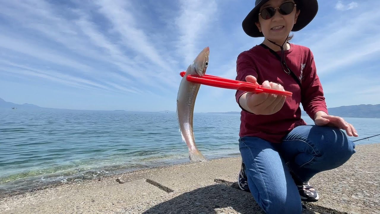 エギングロッドでちょい投げキス釣り