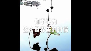 201712 你不认为这个世界苦的时候22774