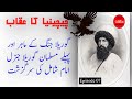 History Of Imam Shamil Chechnya Ka Uqaab 07 Sarguzisht Youtube Channel History Of Imam Shamil Chechnya Ka Uqaab 07 Sarguzisht Youtube Channel