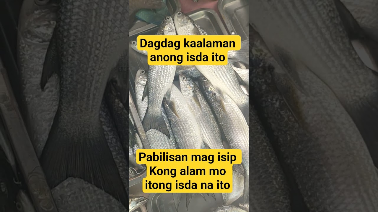 pabilisan mag isip #viral video