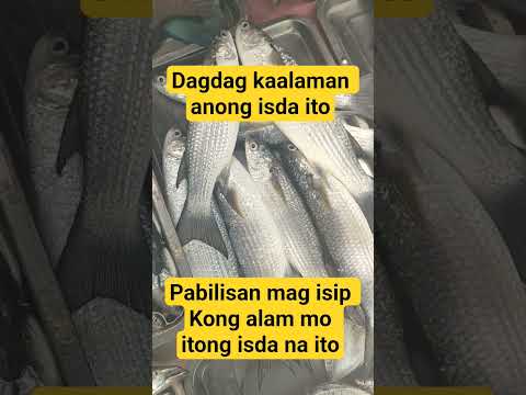 pabilisan mag isip #viral video