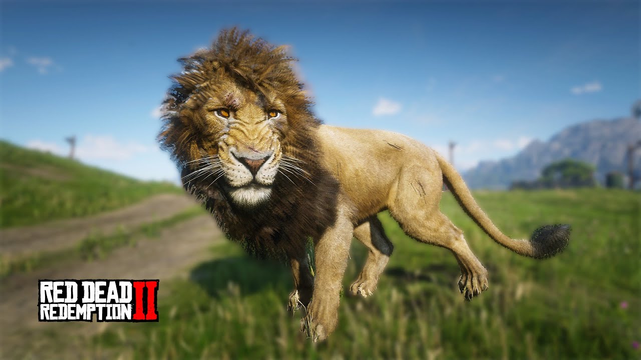 Playing as a Lion in Red Dead Redemption 2 | RDR2 - YouTube