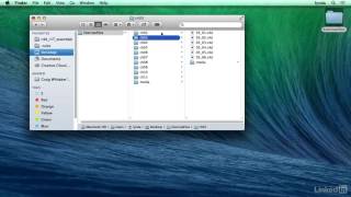 03 Using the exercise files | 4D R17