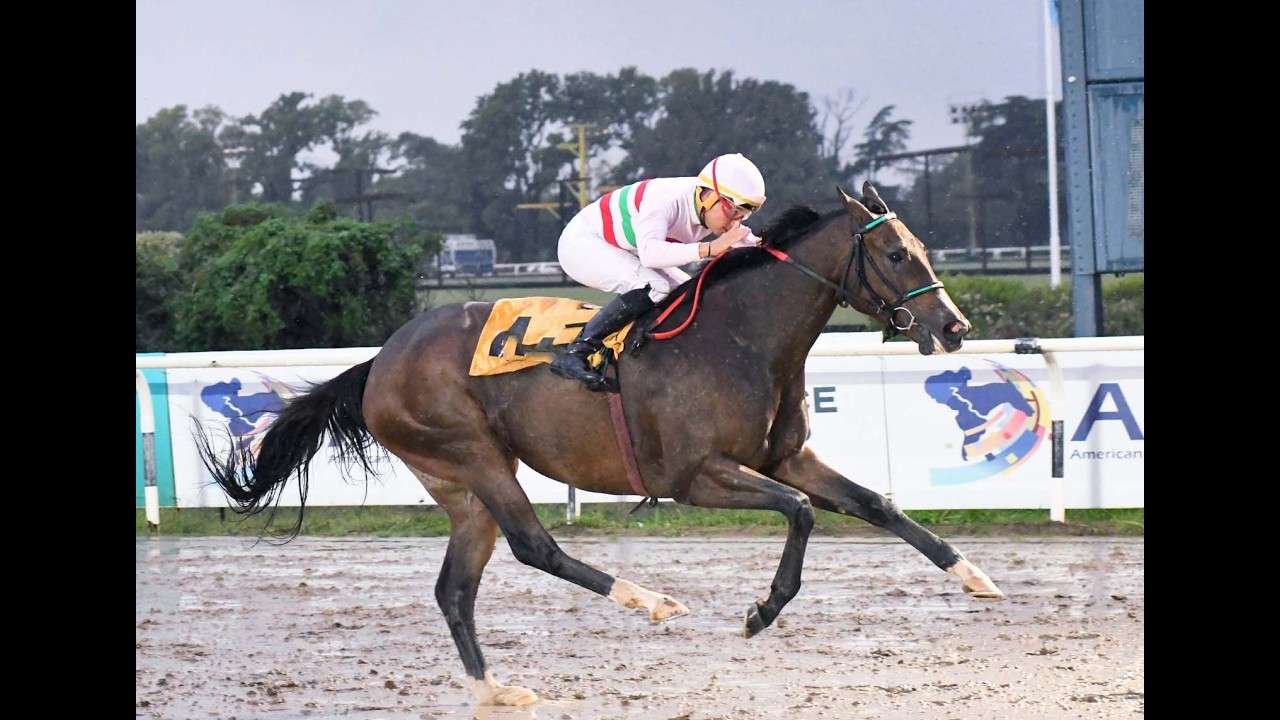 Clásico Eduardo Jara 2026 - Naimabad (Il Campione)