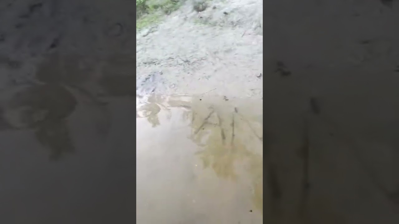 Аква тег Dan 23