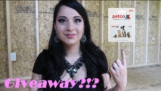 Q&A | Giveaway