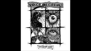 Voice of Crows - Hacked