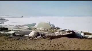 Ледоход в Дудинке -5 июня 2017 год