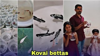 kovai bettas farm tour | Coimbatore | தமிழ்