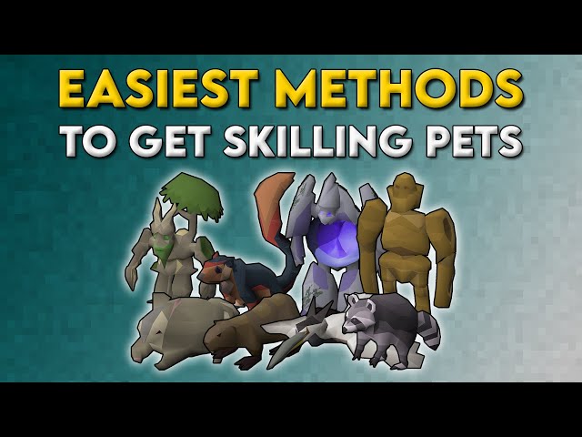 Old School RuneScape: All pets and how to get them in OSRS - Dexerto