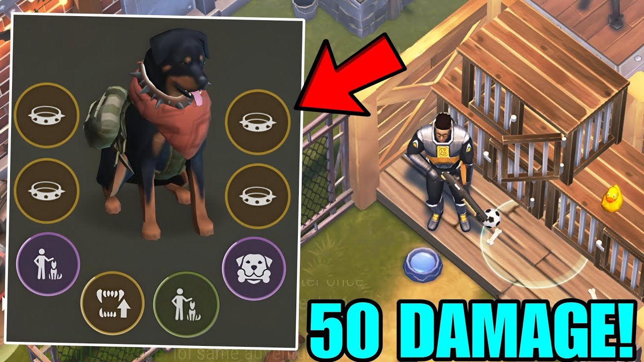 HOW TO MAKE YOUR TRUE FRIEND DOG DO 50 DAMAGE! YOU MUST SEE - Last Day on Earth: Survival