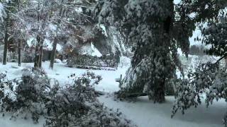 Blizzard Jan 12 2011.MOV