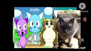 Black Hole Add Round 6