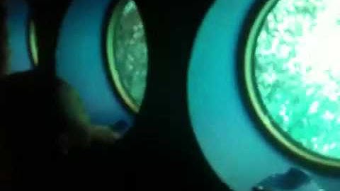 Disney Finding NEMO part 2