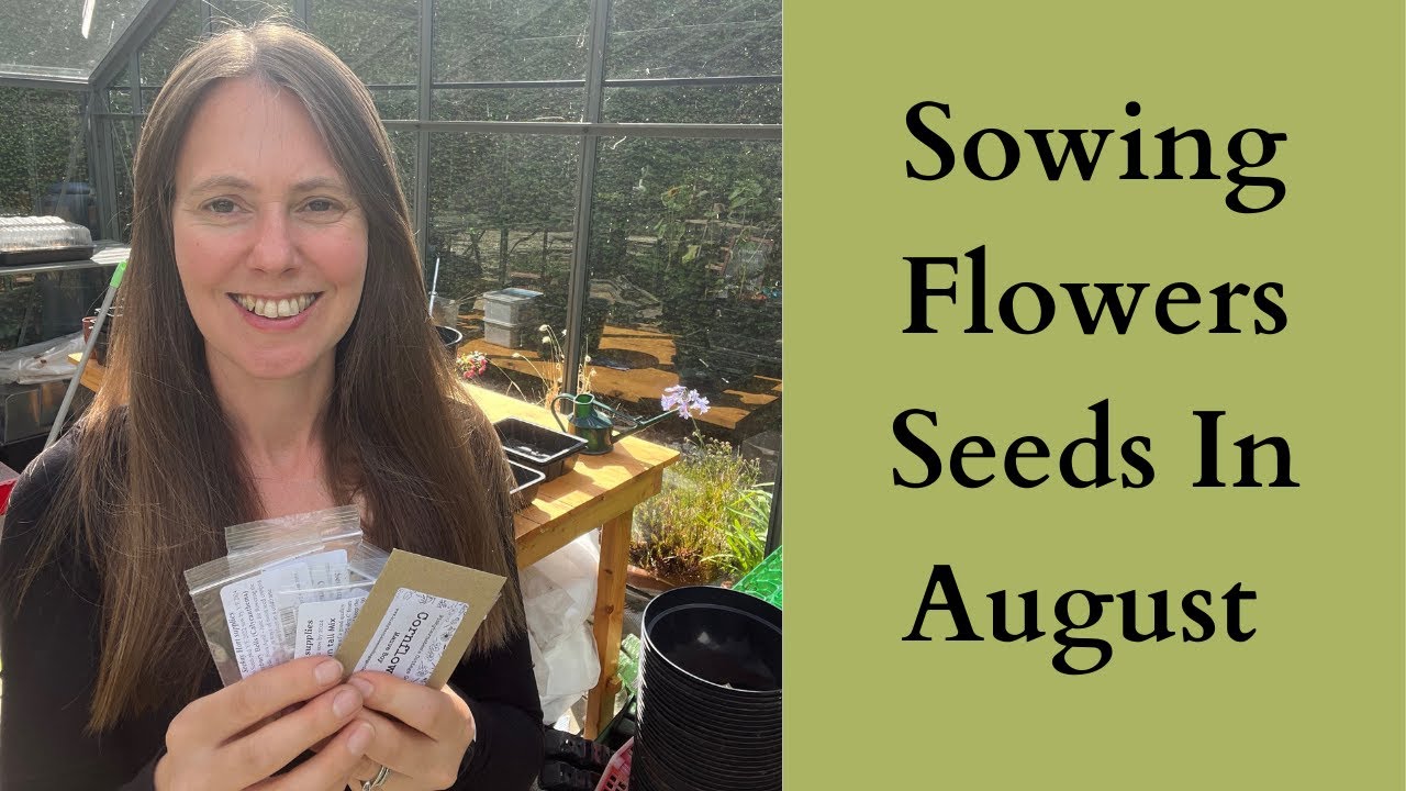 Cool Flowers Hardy Annual Seed Sowing In August and September YouTube